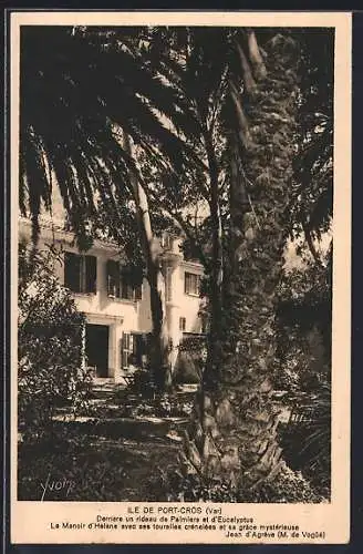 AK Port-Cros, Le Manoir d`Hélène derrière palmiers et eucalyptus