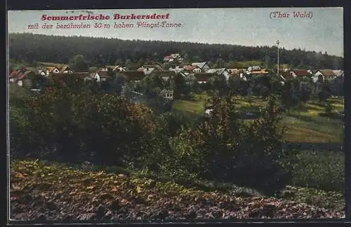 AK Burkersdorf / Thür., Totalansicht