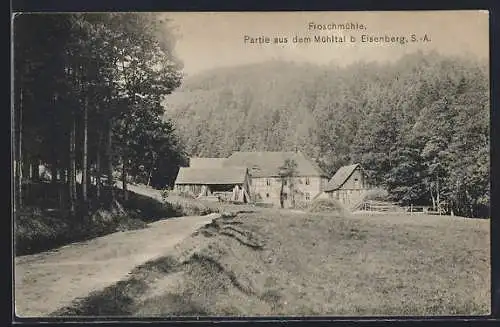 AK Eisenberg / S.- A., Blick auf die Froschmühle im Sonnenschein