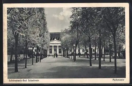 AK Schönebeck / Salzelmen, Parkmotiv Bad Salzelmen