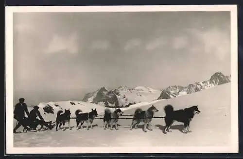 AK Wetterhorn und Schreckhorn, Polarhunde am Mönchjoch
