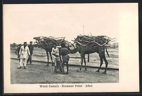 AK Aden, Steamer Point, Wood Camels