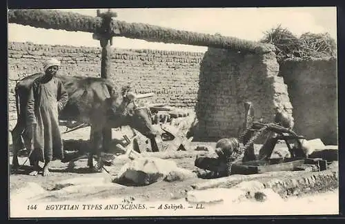 AK Ägypten, Sakiyeh, Brunnen mit Schöpfwerk, Ochse