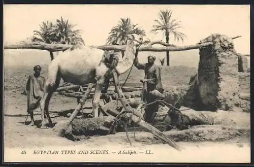 AK A Sakijeh, Egyptian Types and Scenes