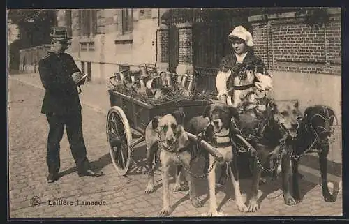 AK Laitière flamande, Hunde ziehen mit Milchkannen beladenen Wagen, zwei tragen Maulkorb, Mann inspiziert die Kannen