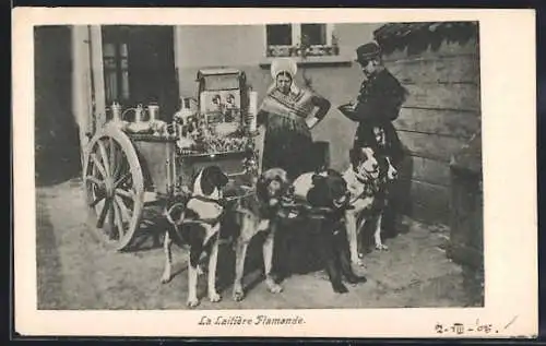 AK La Laitière Flamande, Hundegespann