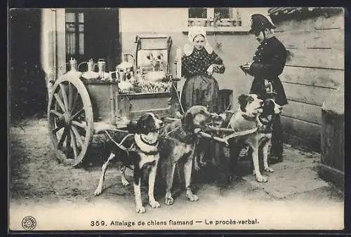 AK Attelage de chiens flamand, Flämische Milchfrau mit Hundegespann