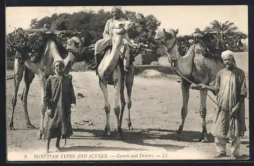 AK Ägypten, Kamele & ihre arabischen Führer