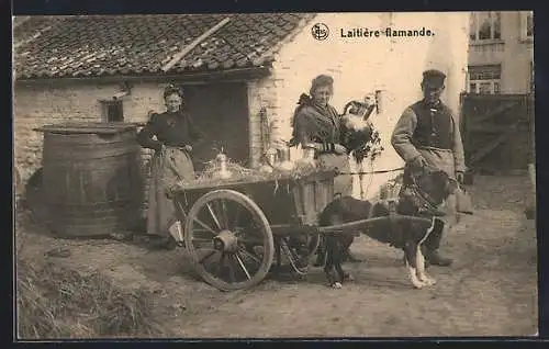 AK Laitiere flamande, Milchhändler am Hundegespann