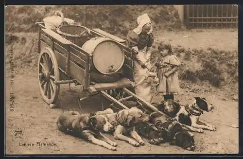 AK Hundegespann ruht sich nach einer langen Fahrt aus
