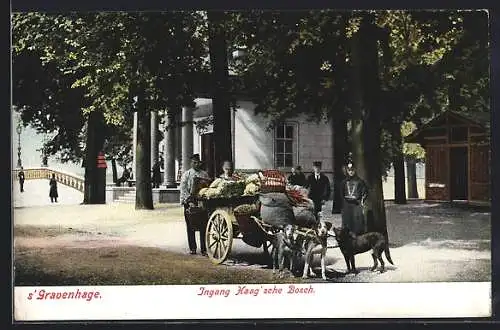 AK `s Gravenhage, Ingang Haag`sche Bosch, Hundekarren