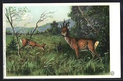 Künstler-AK E. Döcker: Sichernde Rehe am Waldrand
