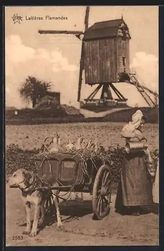 AK Laitiéres Flamandes, Milchbäuerin mit Hundegespann vor einer Windmühle