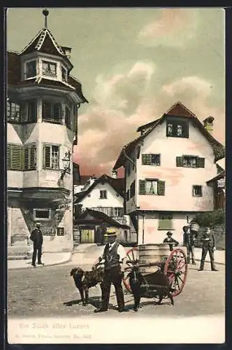 AK Luzern, Strassenpartie mit Hundegespann