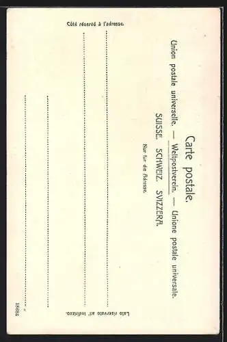 AK Luzern, Strassenpartie mit Hundegespann