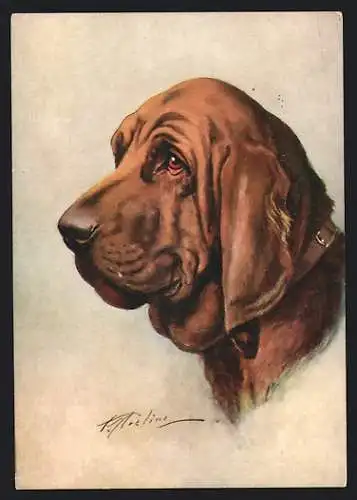 AK The Bloodhound, Brauner Bluthund
