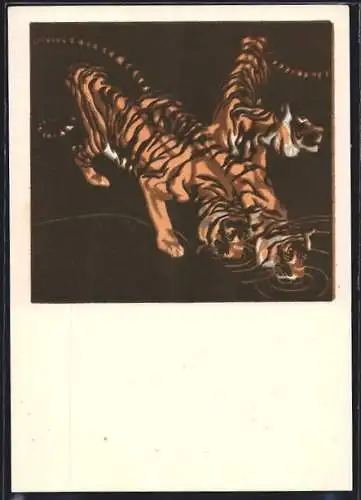 Künstler-AK sign.: N. v. Bresslern-Roth: Tiger am Wasser