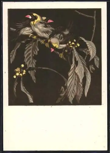 Künstler-AK Vögel auf einem Ast