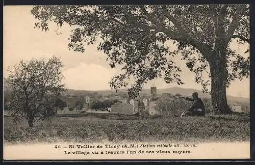AK St-Vallier de Thiey, Le village vu à travers l`un de ses vieux noyers