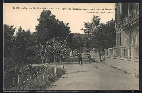 AK Thorenc, Une Promenade sous pins, Avenue du Marché