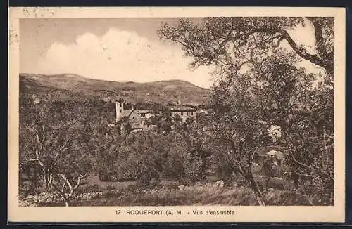 AK Roquefort, Vue d`ensemble