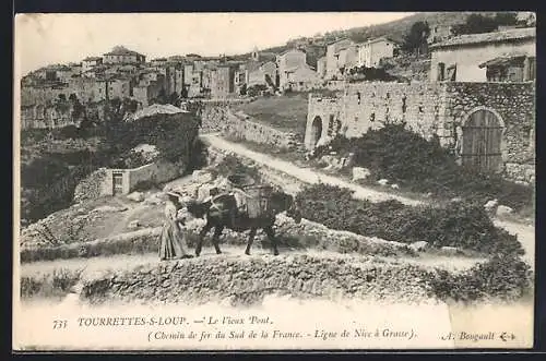 AK Tourrettes-sur-Loup, Le Vieux Pont et paysage rural avec chemin de fer du Sud de la France