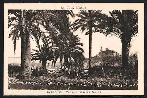 AK Cannes, Vue sur le Suquet et les Îles