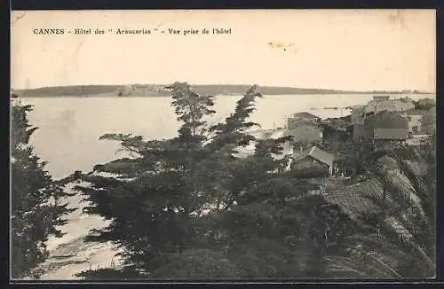 AK Cannes, Hôtel des Araucarias, Vue prise de l`hôtel