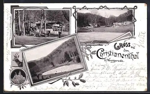 AK Wernigerode, Gasthaus Zum Christianental, Teich, Sommerterrasse