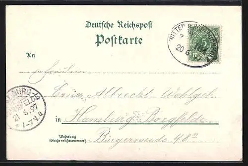 Lithographie Hitzacker, Villenpartie, Kurgarten, Grosse Kastanie