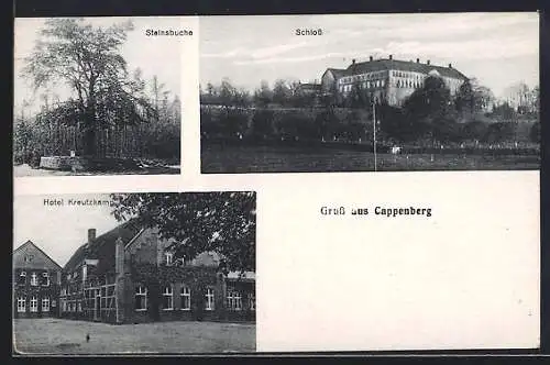 AK Cappenberg, Hotel Kreutzkamp, Steinsbuche und Schloss