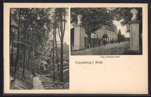 AK Cappenberg i. Westf., Hotel Cappenberger Hof mit Waldpartie