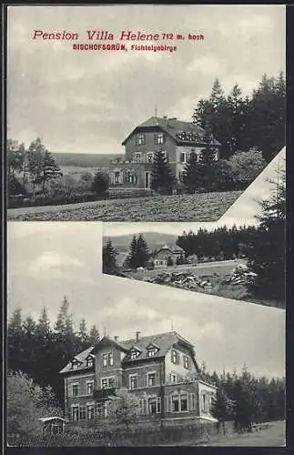 AK Bischofsgrün /Fichtelgebirge, Pension Villa Helene am Waldrand