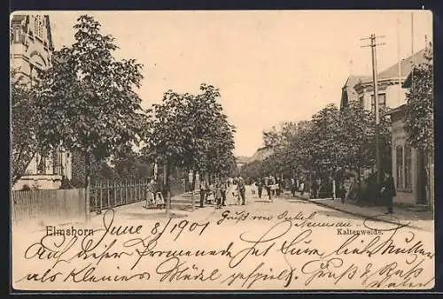 AK Elmshorn, Strasse an der Kaltenweide mit Passanten
