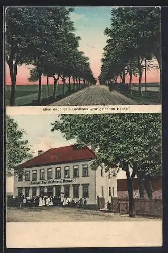 AK Vieselbach, Gasthaus zur goldenen Henne mit Allee