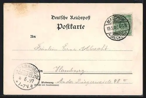 AK Waren, Rathaus, Kirche und Totalansicht