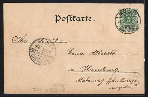Vorläufer-Lithographie Mölln / Lbg., 1895, Hanseatendenkmal, Schützenhof, Schmalsee, Gesamtansicht