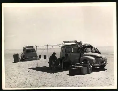 54 Fotografien Ansicht Sabha, Dr. Wolfgang Meckelein, Berlin, gesamtdeutschen Sahara-Expedition 1954/55