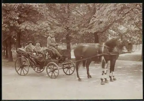 Fotografie Pferdekutsche mit zwei Zugpferden in einem Park
