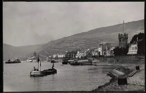 Fotografie unbekannter Fotograf, Ansicht Rüdesheim a. Rh., Blick entlang des Rheinufers mit Ausflugsdampfern