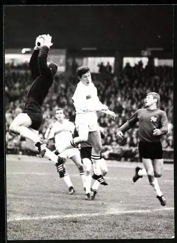 Fotografie Erich Baumann, Ludwigsburg, Fussball, VfB Stuttgart gegen Hannover 96, Podlasly klärt vor Willi Entenmann