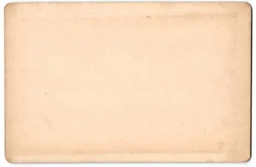 Fotografie Lautz, Darmstadt, Ansicht Eberbach a. N., Blick nach dem Ort