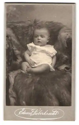 Fotografie Eduard Sieberknecht, Villingen, Brigachstr. 7, Porträt eines kleinen Kindes