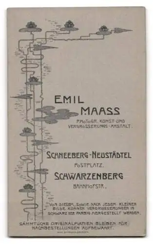 Fotografie Emil Maass, Schneeberg i. S., Postplatz, Porträt eines jungen Mannes