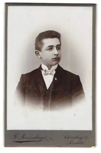 Fotografie R. Ronneberger, Schneeberg i. E., Porträt eines jungen Mannes in Anzug