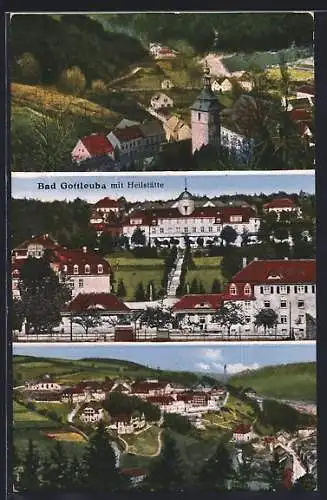 AK Bad Gottleuba, Heilstätte, Totalansicht, Teilansicht