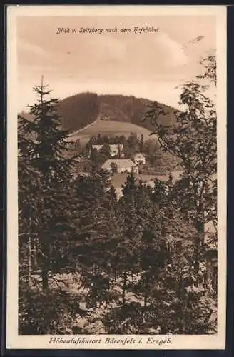 AK Bärenfels /Erzgeb., Blick vom Spitzberg nach dem Hofehübel