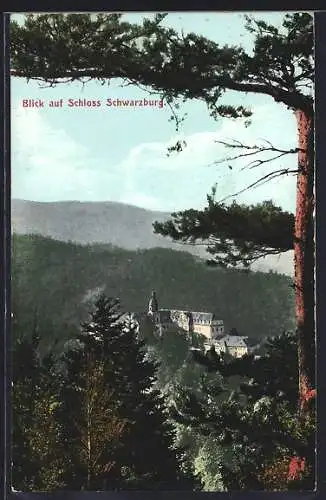 AK Schloss Schwarzburg, Ortsansicht mit Umgebung aus der Vogelschau