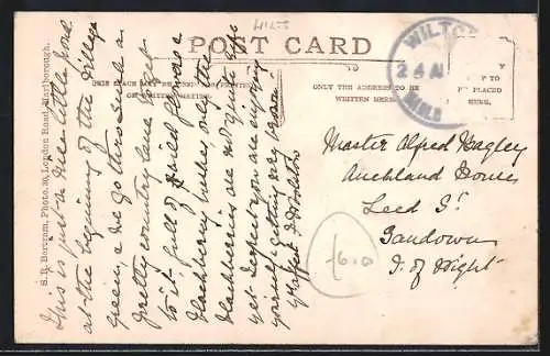 AK East Grafton, The Pond, dwelling homes