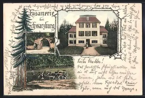 AK Schwarzburg, Fasanerie, Eingangstor, Hirsche
